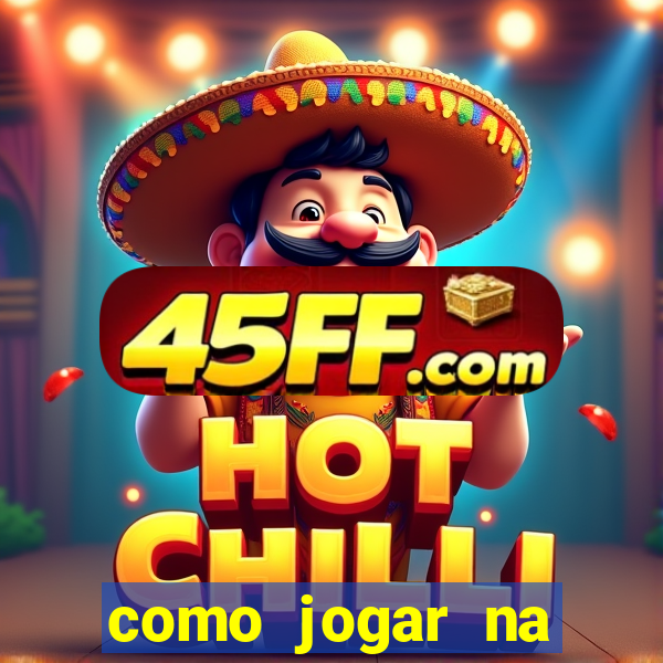 como jogar na lotinha do jogo do bicho